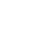 Steam